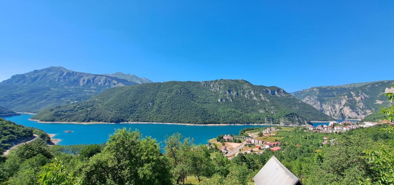 Apartman Sofija 普卢日内 外观 照片